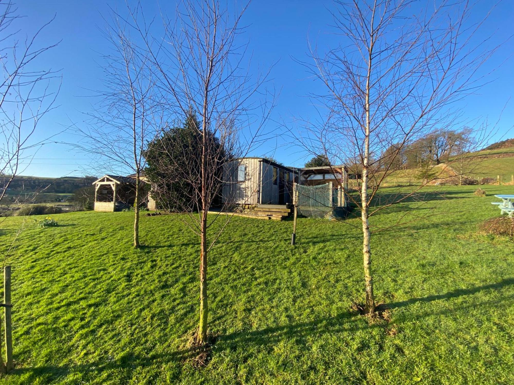 Stunning Shepherds Hut Rural Bliss דומפריס מראה חיצוני תמונה